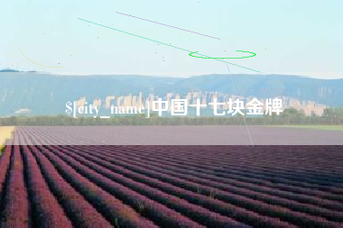 安岳中国十七块金牌