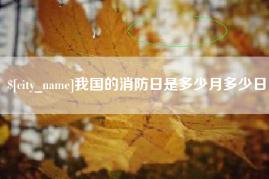 安岳我国的消防日是多少月多少日