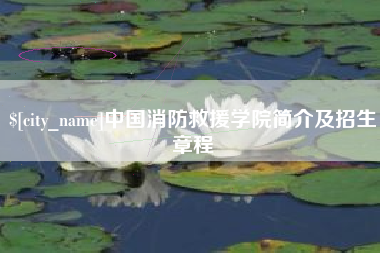 安岳中国消防救援学院简介及招生章程
