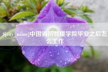 安岳中国消防救援学院毕业之后怎么工作