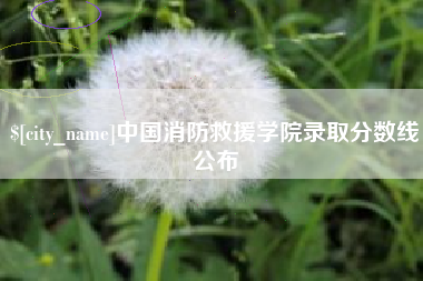 安岳中国消防救援学院录取分数线公布