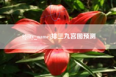 安岳排三九宫图预测