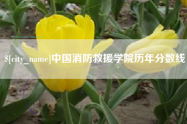 安岳中国消防救援学院历年分数线
