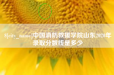 安岳中国消防救援学院山东2020年录取分数线是多少