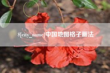 安岳中国地图格子画法