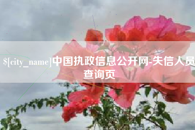 安岳中国执政信息公开网-失信人员查询页