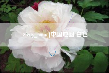 安岳中国地图 白色
