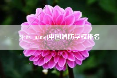 安岳中国消防学校排名