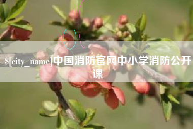 安岳中国消防官网中小学消防公开课