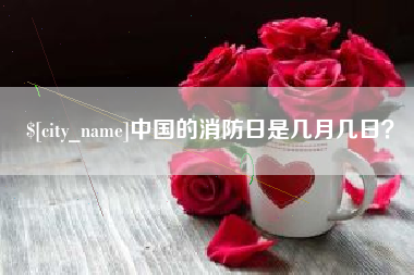 安岳中国的消防日是几月几日？