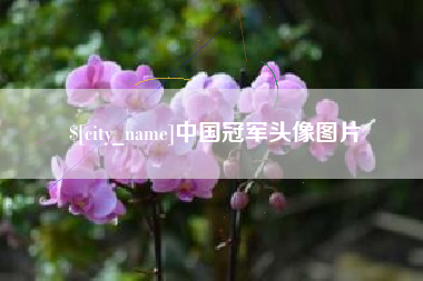 安岳中国冠军头像图片