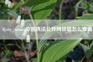 安岳中国执法公开网征信怎么查询