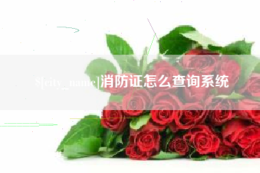 安岳消防证怎么查询系统