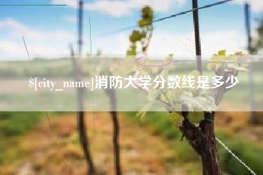 安岳消防大学分数线是多少
