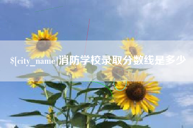 安岳消防学校录取分数线是多少