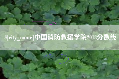 安岳中国消防救援学院2018分数线