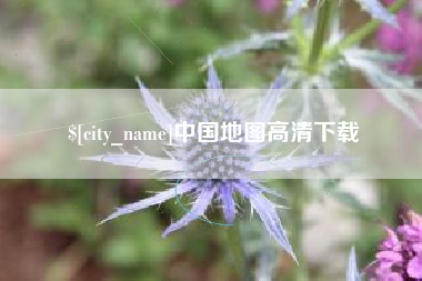 安岳中国地图高清下载