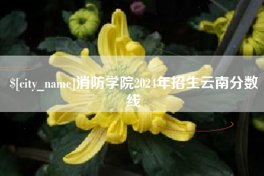 安岳消防学院2024年招生云南分数线