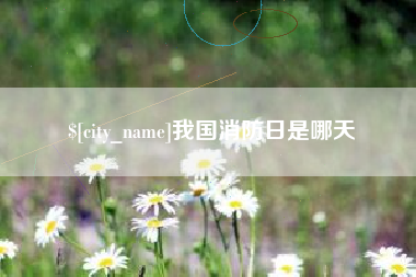 安岳我国消防日是哪天