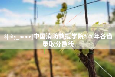 安岳中国消防救援学院2020年各省录取分数线