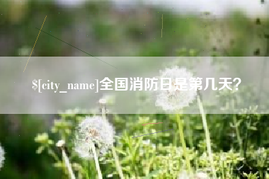 安岳全国消防日是第几天？