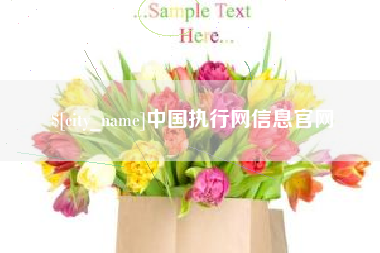 安岳中国执行网信息官网