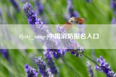 安岳中国消防报名入口