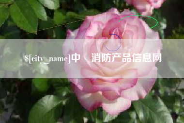 安岳中囯消防产品信息网