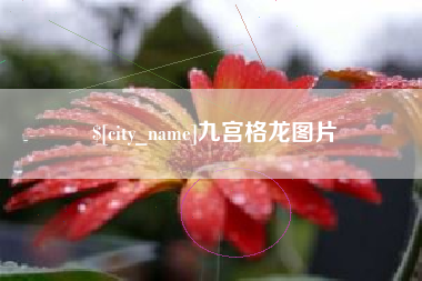 安岳九宫格龙图片