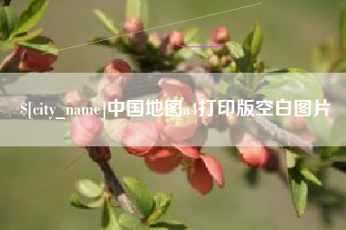 安岳中国地图a4打印版空白图片