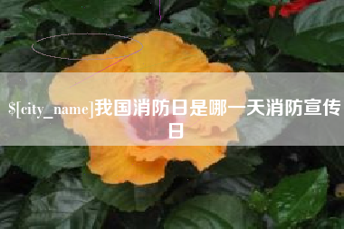 安岳我国消防日是哪一天消防宣传日