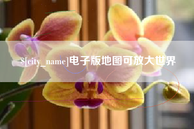 安岳电子版地图可放大世界