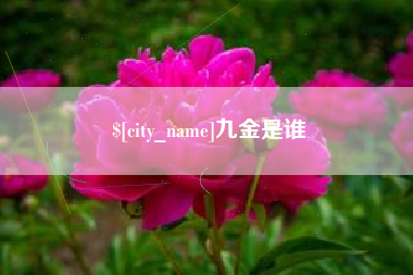 安岳九金是谁