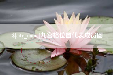 安岳九宫格位置代表成员图