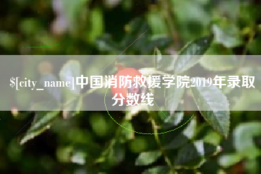 安岳中国消防救援学院2019年录取分数线
