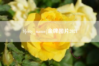 安岳金牌图片2021