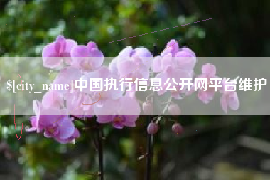 安岳中国执行信息公开网平台维护
