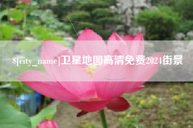 安岳卫星地图高清免费2024街景