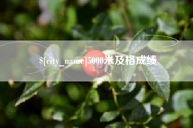 安岳5000米及格成绩