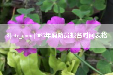 安岳2025年消防员报名时间表格