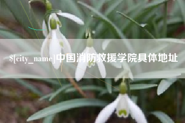 安岳中国消防救援学院具体地址
