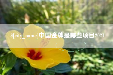 安岳中国金牌是哪些项目2021