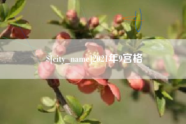 安岳2021年9宫格