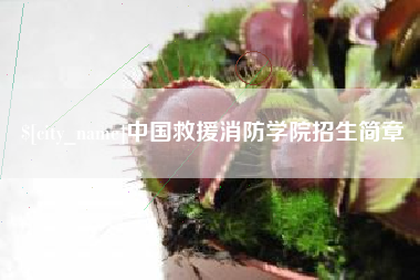 安岳中国救援消防学院招生简章