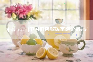 安岳中国消防救援学院分数2020