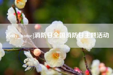 安岳消防日全国消防日主题活动