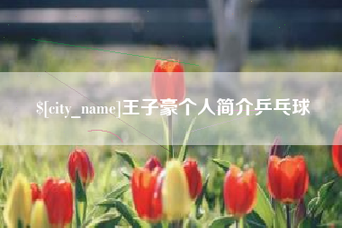 安岳王子豪个人简介乒乓球