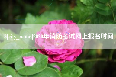 安岳2020年消防考试网上报名时间