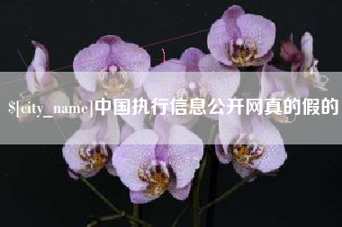 安岳中国执行信息公开网真的假的