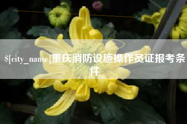 安岳重庆消防设施操作员证报考条件